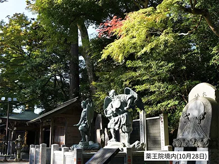 高尾山の紅葉の見ごろは11月中旬から12月上旬です 高尾山の紅葉の見ごろは11月中旬から12月上旬です