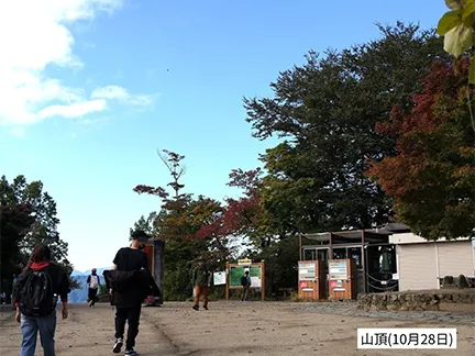 高尾山の紅葉の見ごろは11月中旬から12月上旬です 高尾山の紅葉の見ごろは11月中旬から12月上旬です