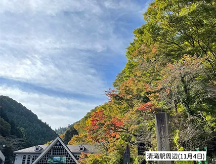 高尾山の紅葉の見ごろは11月中旬から12月上旬です