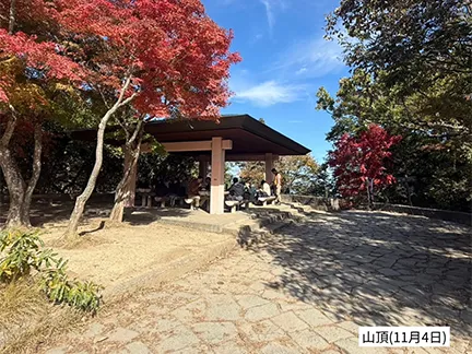 高尾山の紅葉の見ごろは11月中旬から12月上旬です