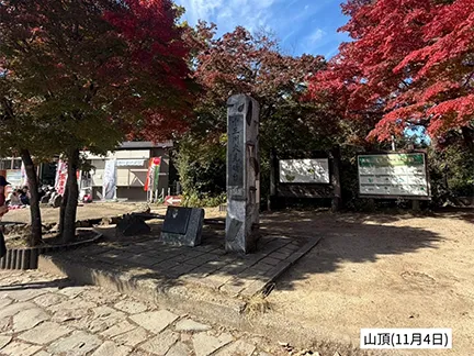 高尾山の紅葉の見ごろは11月中旬から12月上旬です