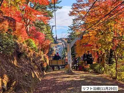 高尾山の紅葉の見ごろは11月中旬から12月上旬です