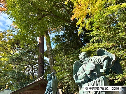 高尾山の紅葉の見ごろは11月中旬から12月上旬です