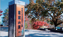 高尾山頂