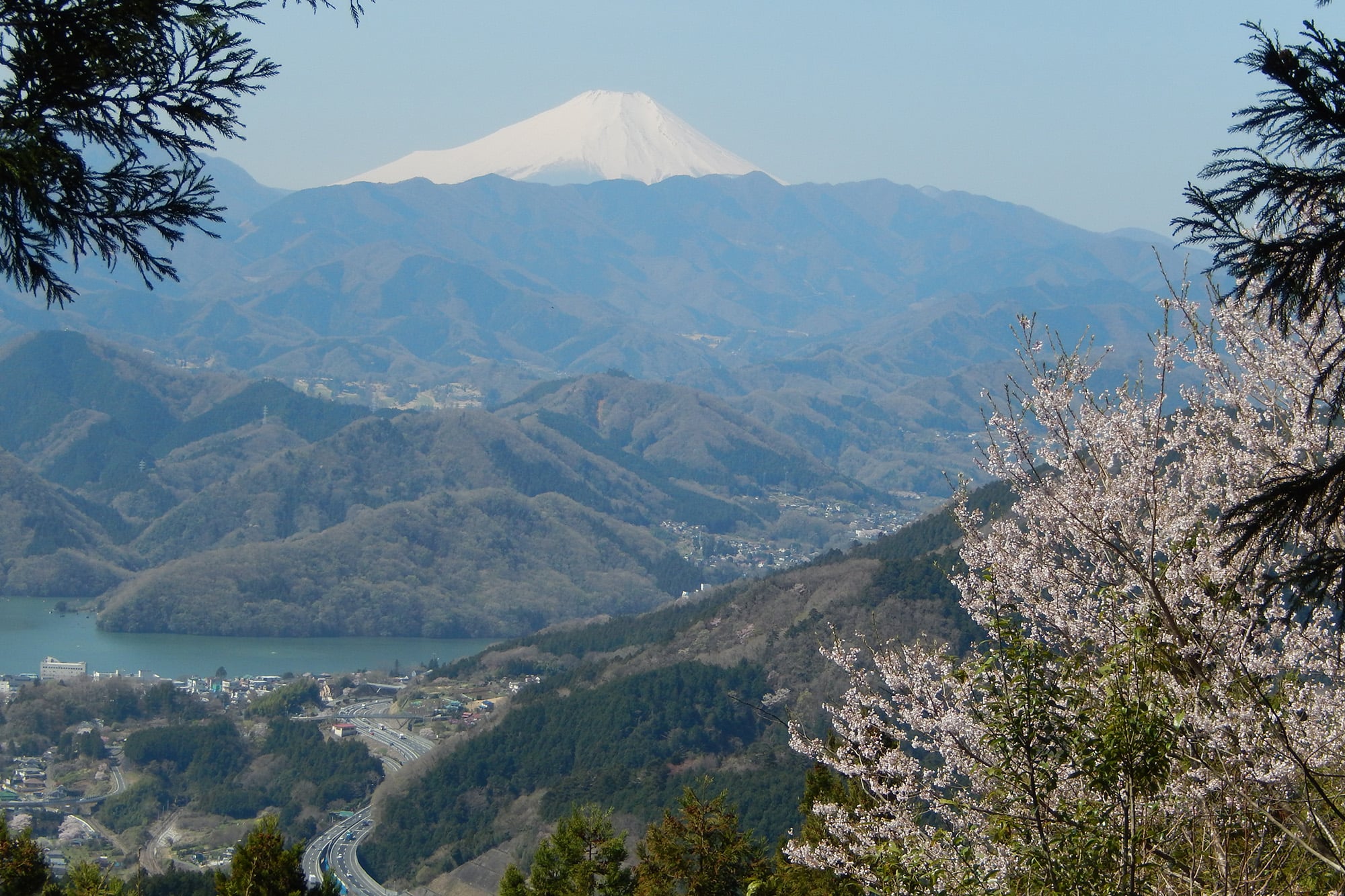 從高尾山看富士山
