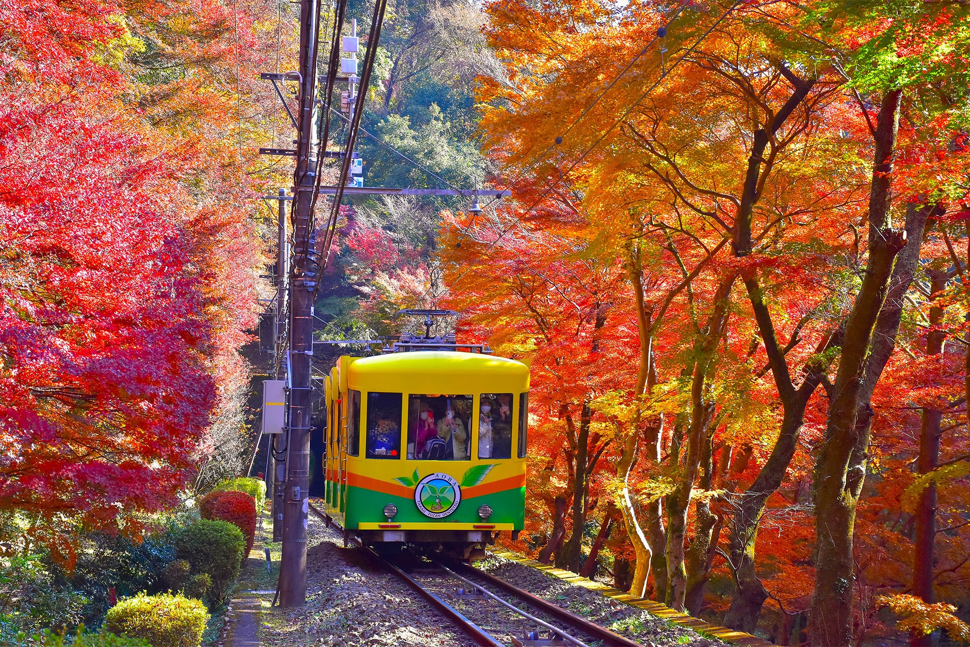 秋天的高尾山及纜車